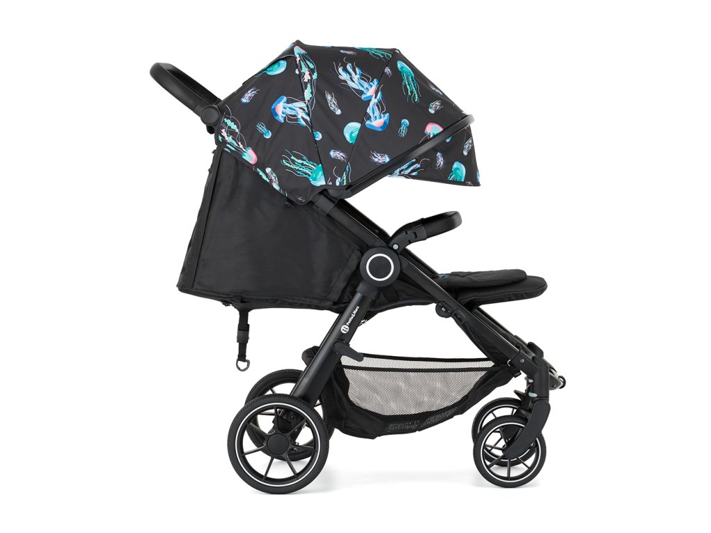 Kočík Petite&Mars Street2 RWS Limitovaná edícia Complete