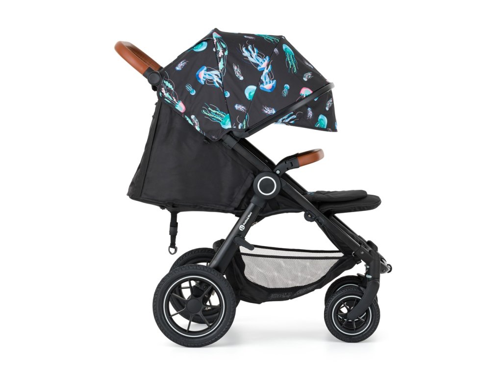 Kočík Petite&Mars Street2 Air Limitovaná edícia Complete