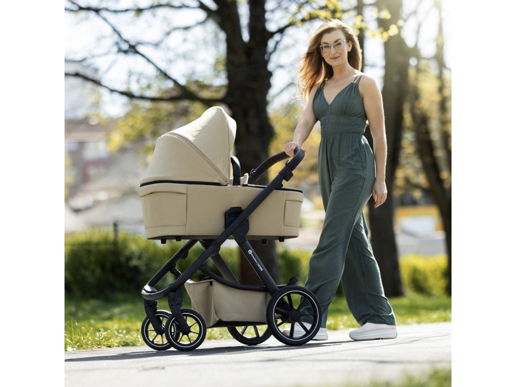 Kočík Petite&Mars Icon Lite RWS + Cybex Aton B2 i-Size + základňa
