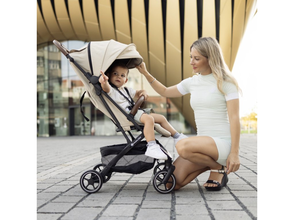 Kočík Petite&Mars Fly