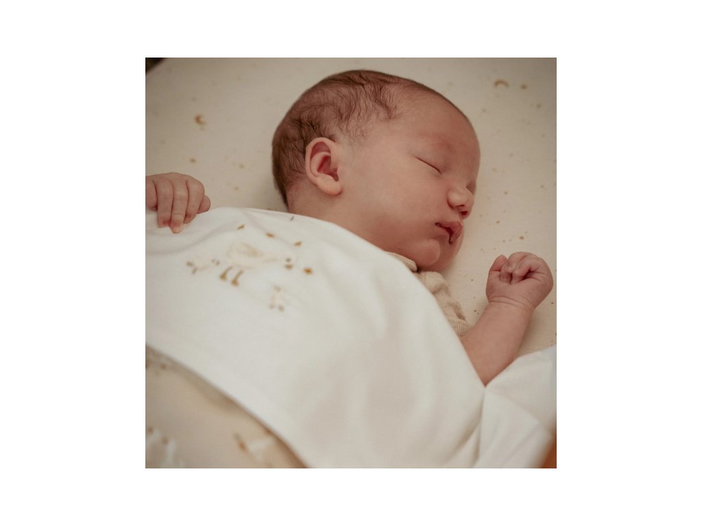Little Dutch Deka 70x100 cm Husa Newborn Naturals