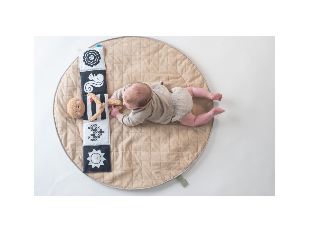 Taf Toys Medvedík plyšový s knižkou Snuggle Bear