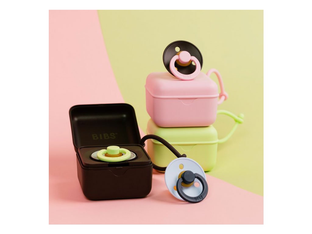 BIBS krabička na cumlíky -Plum